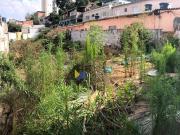 Terreno / Lote para Venda em Guarulhos/SP Jardim Gopoúva
