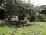 Terreno / Lote para Venda em Guarulhos/SP Jardim...