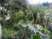 Terreno / Lote para Venda em Guarulhos/SP Jardim Santa...