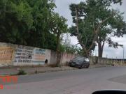 Terreno / Lote para Venda em Guarulhos/SP Parque Primavera