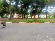 Terreno / Lote para Venda em Guarulhos/SP Parque Renato Maia