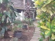 Terreno / Lote para Venda em Guarulhos/SP Vila Galvão