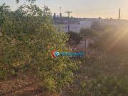 Terreno / Lote para Venda em Hortolândia/SP Chácaras...