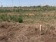 Terreno / Lote para Venda em Hortolândia/SP Jardim Florida