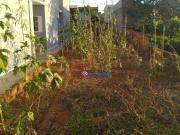 Terreno / Lote para Venda em Hortolândia/SP Jardim Santana