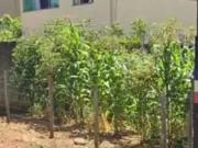 Terreno / Lote para Venda em Ibirité/MG Distrito... Terreno / Lote para Venda em Ibirité/MG Distrito...