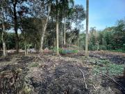 Terreno / Lote para Venda em Ibiúna/SP Campo Verde