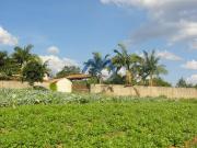 Terreno / Lote para Venda em Ibiúna/SP Centro