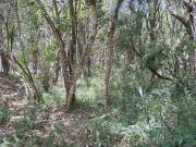 Terreno / Lote para Venda em Ibiúna/SP Ressaca