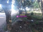 Terreno / Lote para Venda em Ibiúna/SP Ressaca