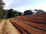 Terreno / Lote para Venda em Ibiúna/SP Rio de Una