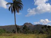 Terreno / Lote para Venda em Igarapé/MG Zona Rural