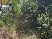 Terreno / Lote para Venda em Ilhabela/SP Perequê