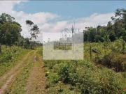 Terreno / Lote para Venda em Ilhéus/BA Aritaguá