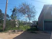 Terreno / Lote para Venda em Ilhéus/BA Olivença