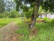 Terreno / Lote para Venda em Ilhéus/BA São Domingos