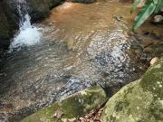 Terreno / Lote para Venda em Imaruí/SC Cangueri Quadro