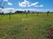 Terreno / Lote para Venda em Imbituba/SC Alto Arroio