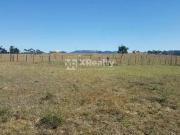 Terreno / Lote para Venda em Imbituba/SC Centro