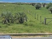 Terreno / Lote para Venda em Imbituba/SC Vila Nova