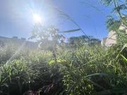 Terreno / Lote para Venda em Imbituba/SC Vila Nova