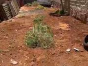 Terreno / Lote para Venda em Indaiatuba/SP Jardim Morada...