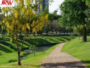 Terreno / Lote para Venda em Indaiatuba/SP Jardim Regina