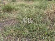 Terreno / Lote para Venda em Indaiatuba/SP Smart City