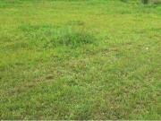Terreno / Lote para Venda em Itajaí/SC Vila Operária