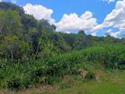 Terreno / Lote para Venda em Itanhaém/SP Balneário Beatriz