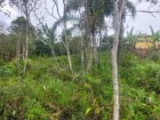 Terreno / Lote para Venda em Itanhaém/SP Balneário Gaivota
