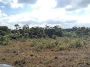 Terreno / Lote para Venda em Itanhaém/SP Chácara Lucél