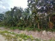 Terreno / Lote para Venda em Itanhaém/SP Gaivota Praia