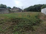 Terreno / Lote para Venda em Itanhaém/SP Gaivota Praia