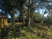 Terreno / Lote para Venda em Itanhaém/SP Balneário Gaivota