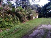 Terreno / Lote para Venda em Itanhaém/SP Gaivota Praia