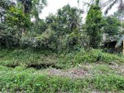 Terreno / Lote para Venda em Itanhaém/SP Balneário Gaivota