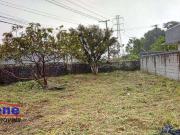 Terreno / Lote para Venda em Itanhaém/SP Balneário Raul Cury