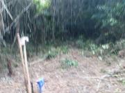 Terreno / Lote para Venda em Itanhaém/SP Bopiranga