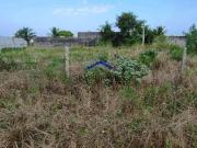 Terreno / Lote para Venda em Itanhaém/SP Bopiranga
