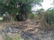 Terreno / Lote para Venda em Itanhaém/SP Cibratel II