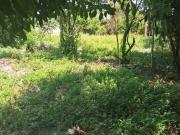 Terreno / Lote para Venda em Itanhaém/SP Estância de...