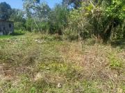 Terreno / Lote para Venda em Itanhaém/SP Gaivota Praia