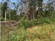 Terreno / Lote para Venda em Itanhaém/SP Jardim Coronel