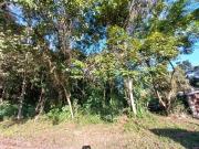 Terreno / Lote para Venda em Itanhaém/SP Jardim Coronel