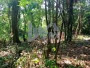 Terreno / Lote para Venda em Itanhaém/SP Jardim Coronel