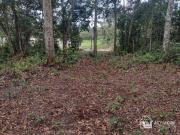 Terreno / Lote para Venda em Itanhaém/SP Jardim Coronel