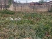 Terreno / Lote para Venda em Itanhaém/SP Jardim das...