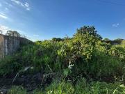 Terreno / Lote para Venda em Itanhaém/SP Jardim das...