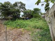 Terreno / Lote para Venda em Itanhaém/SP Jardim das...